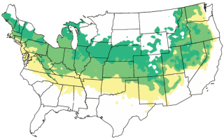 Hardiness Zone Map